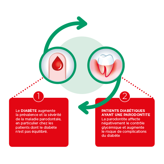 Infographic about bidirectional link of diabetes and periodontal desease