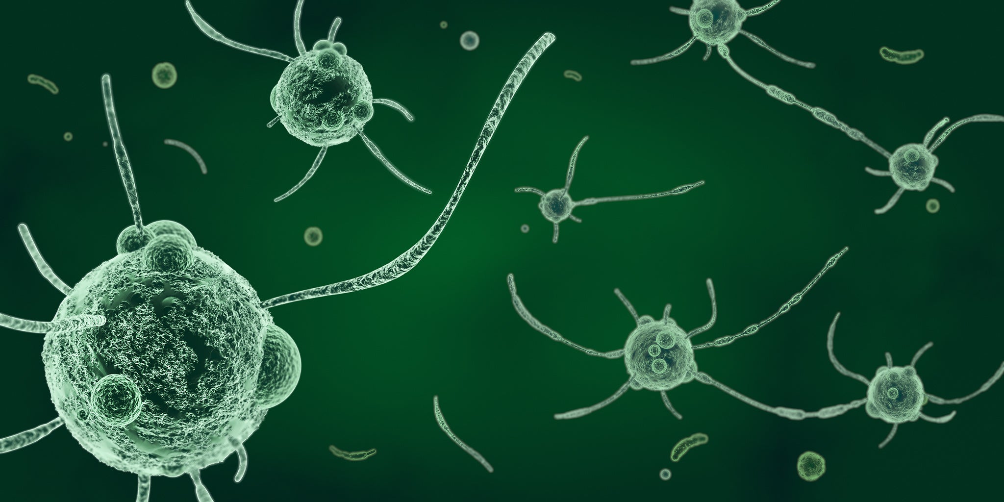 Wat de tandheelkundige van vandaag moeten weten over oraal microbioom