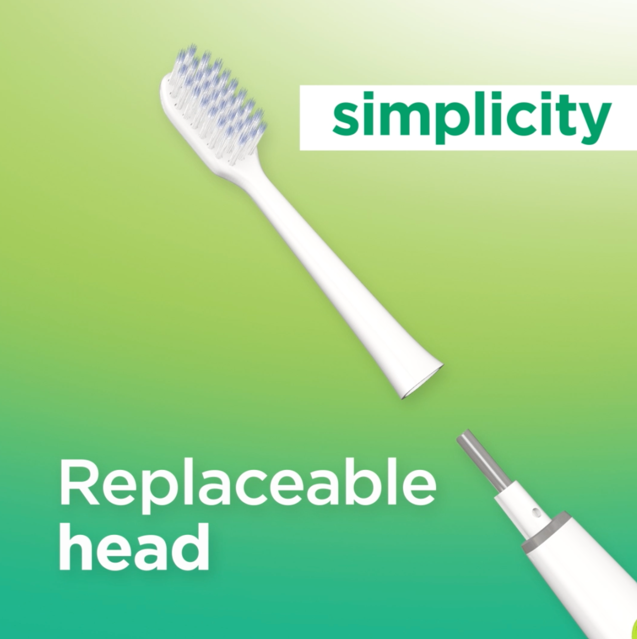 In-context-GUM-SONIC-DAILY-TB-simplicity-replaceable-head.png