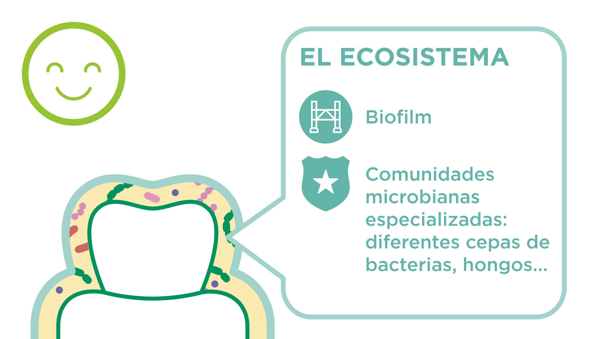 El microbioma oral como una ciudad viva