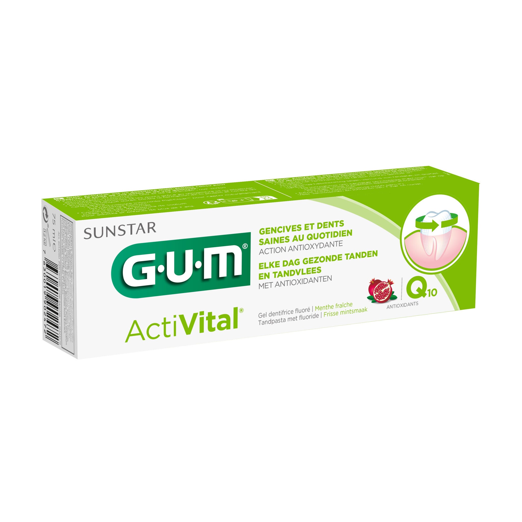 6050FNLDIA-FR-NL-DE-IT-GUM-ACTIVITAL-TOOTHPASTE-GREEN-75ML-TUBE-P4.jpg