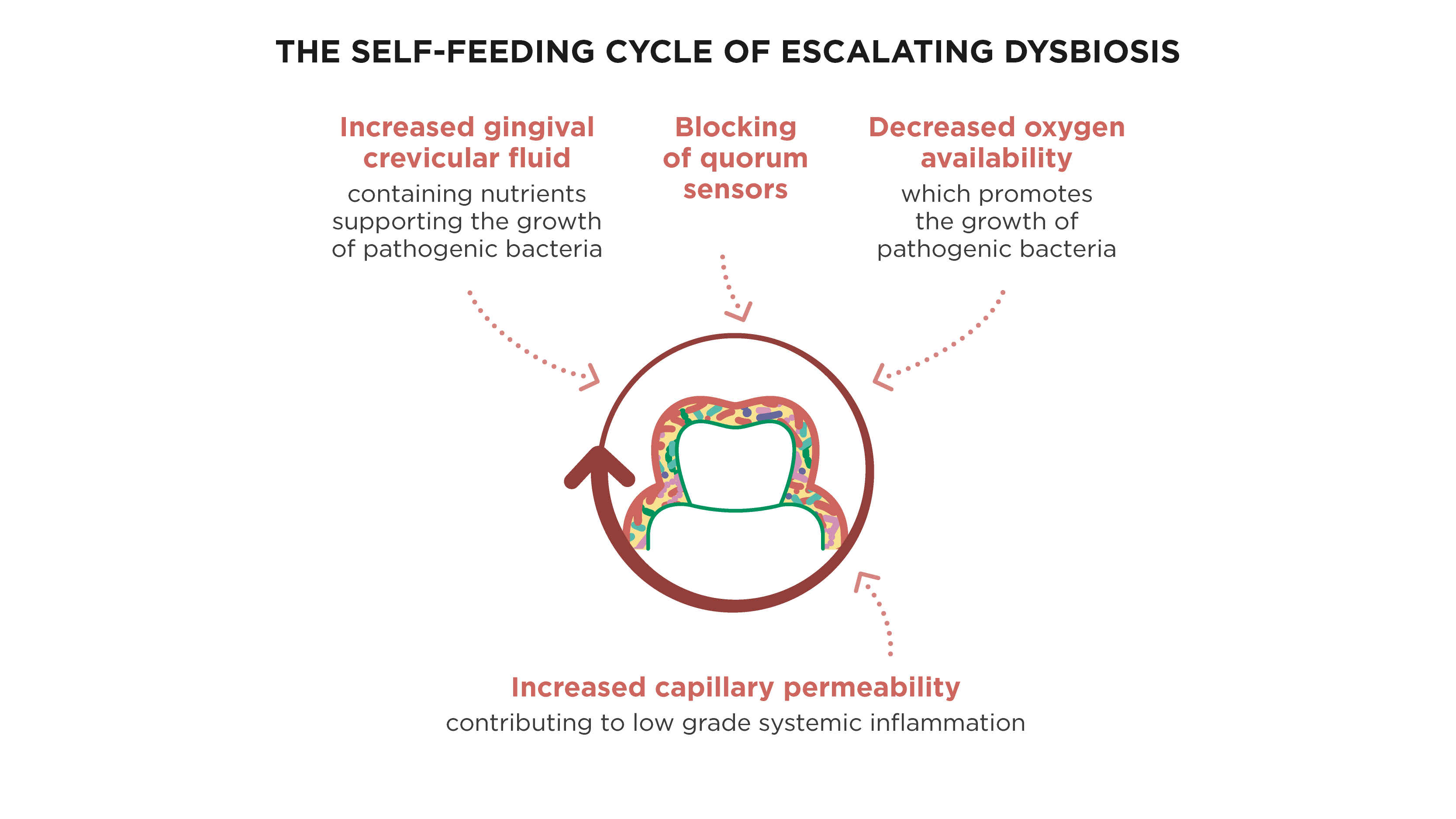 Diagram illustrating the self-feeding cycle of escalating oral dysbiosis  