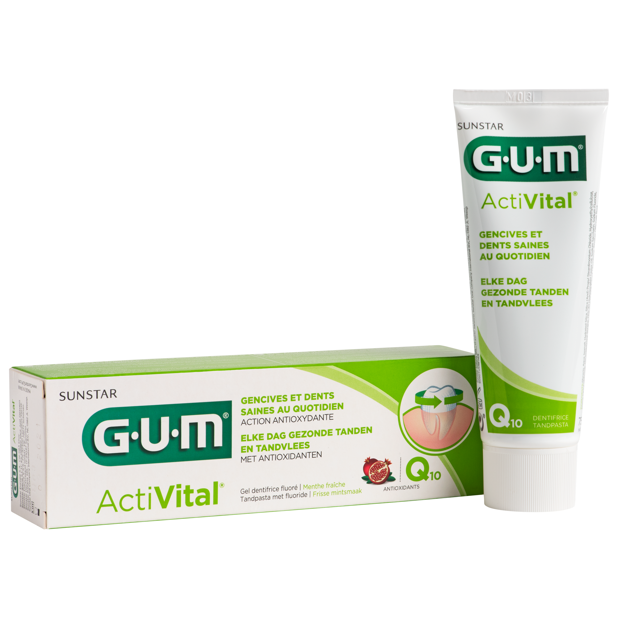 P6050-FR-NL-GUM-Activital-Toothpaste-75ml-Box-Tube