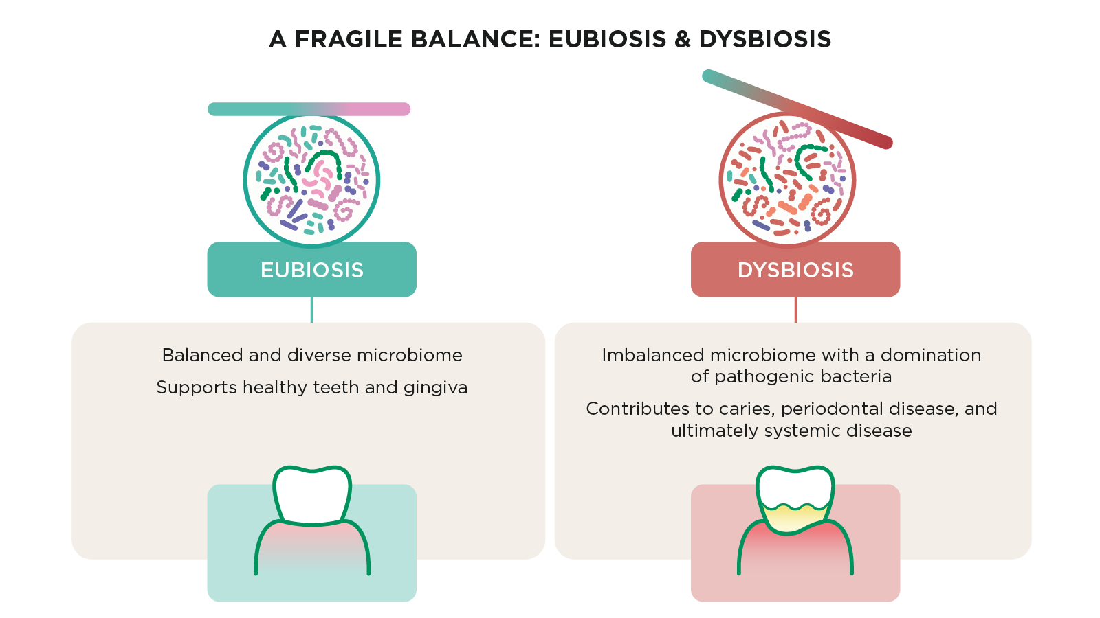 Diagram showing the difference between eubiosis and dysbiosis in the oral microbiome, with a balanced microbial community on one side and pathogenic bacteria dominating on the other