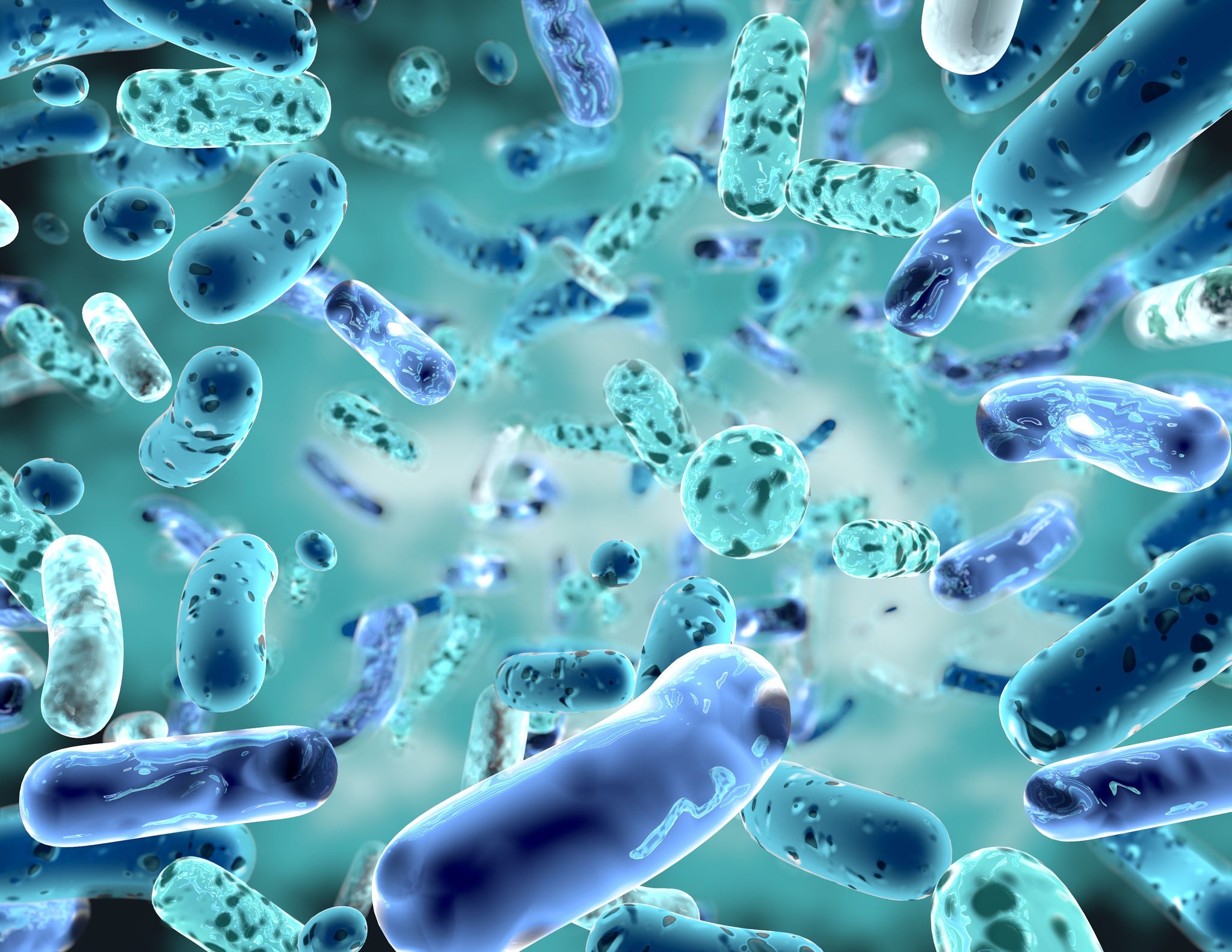 Gut and Oral Microbiomes: Their Impact on Overall Health