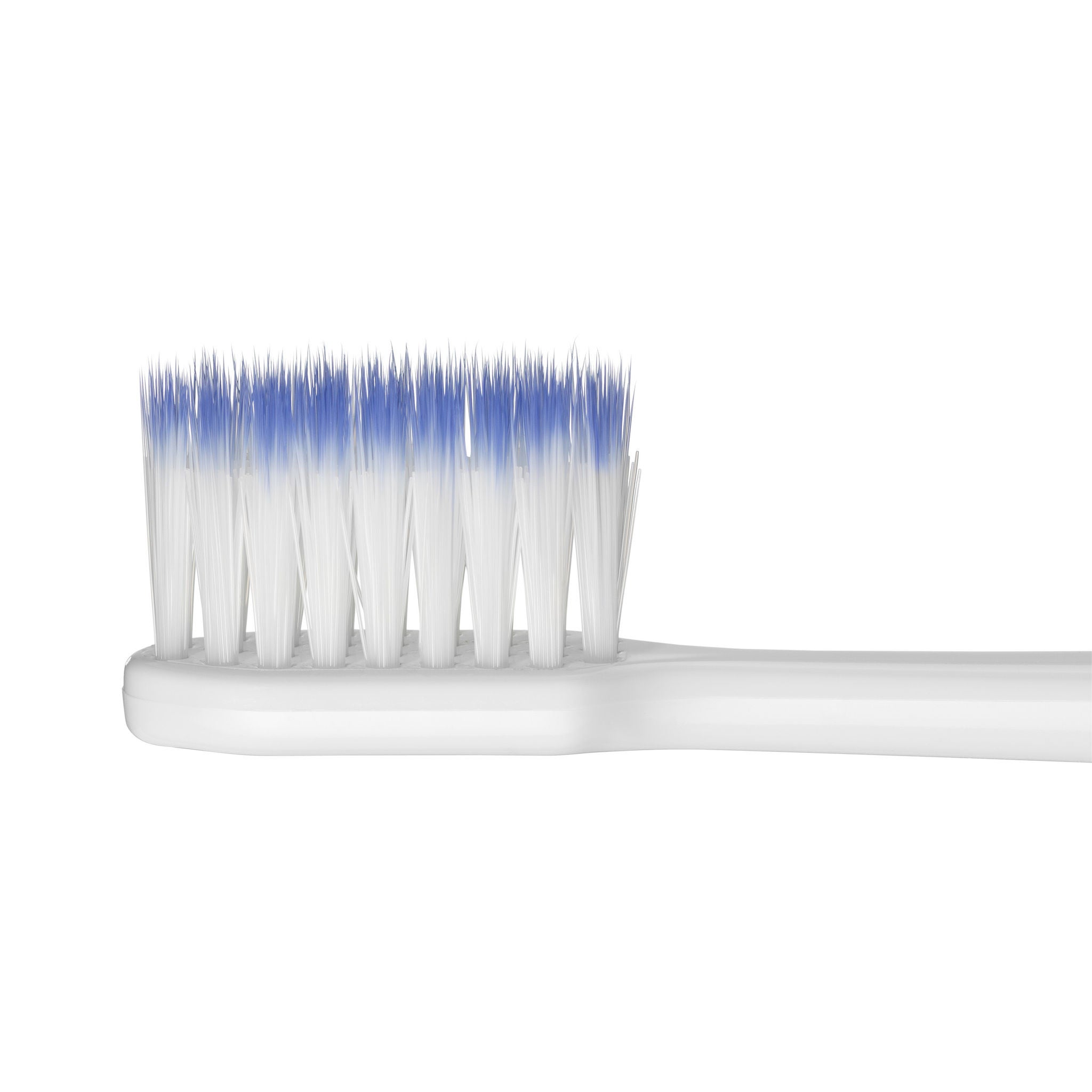 GUM SONIC DAILY Electric Toothbrush zoomed on the head