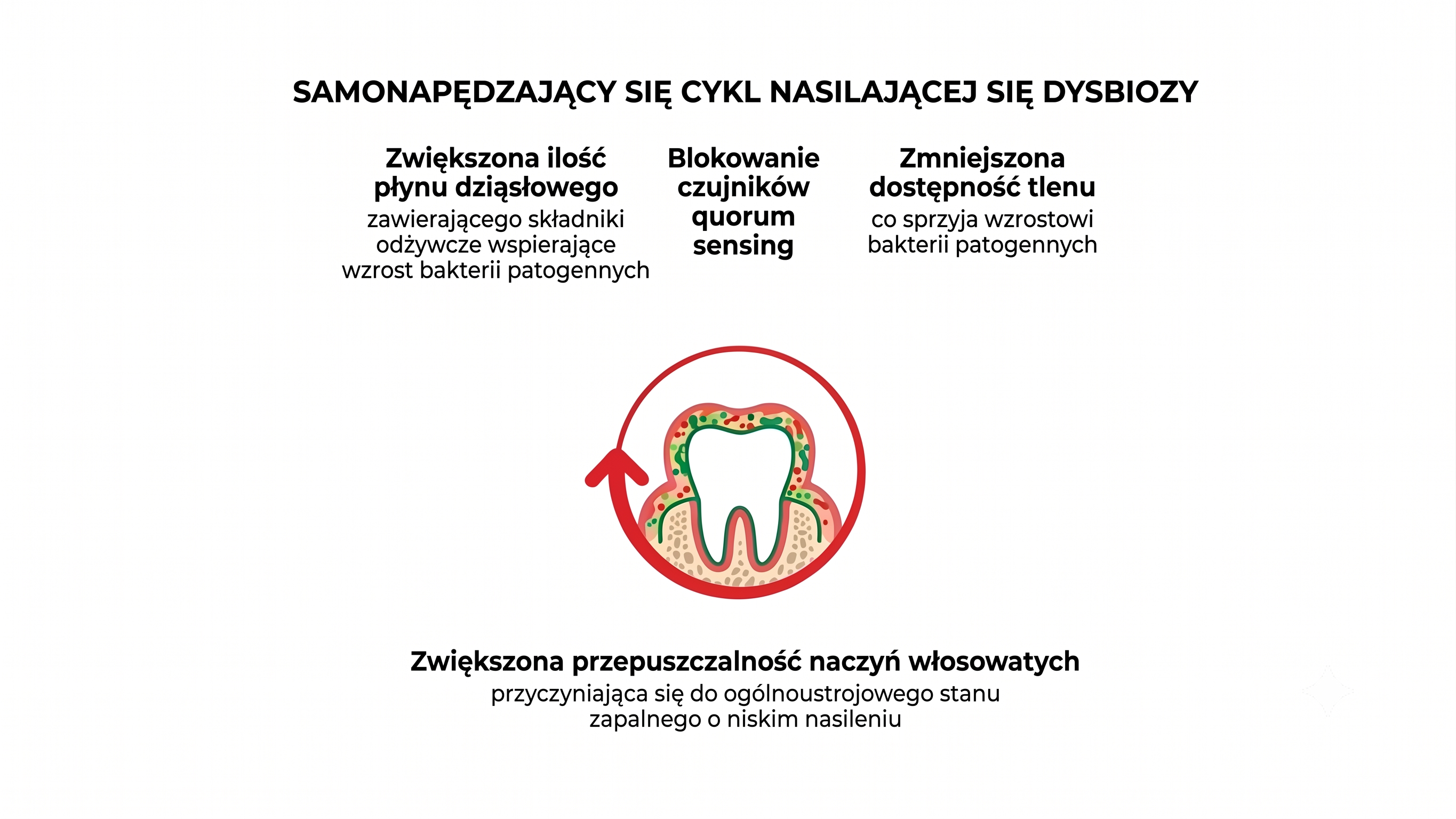 Schemat ilustrujący samonapędzający się cykl nasilającej się dysbiozy jamy ustnej  