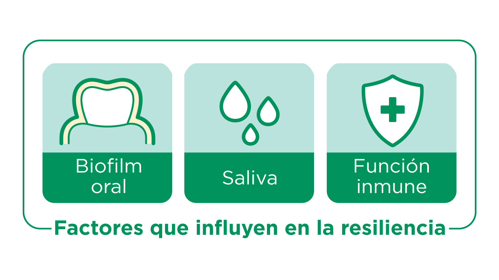 Ilustración de los tres principales influencers de resiliencia del microbioma oral —biofilm oral, saliva y función inmunitaria— mostrada como iconos dentro de un panel agrupado 