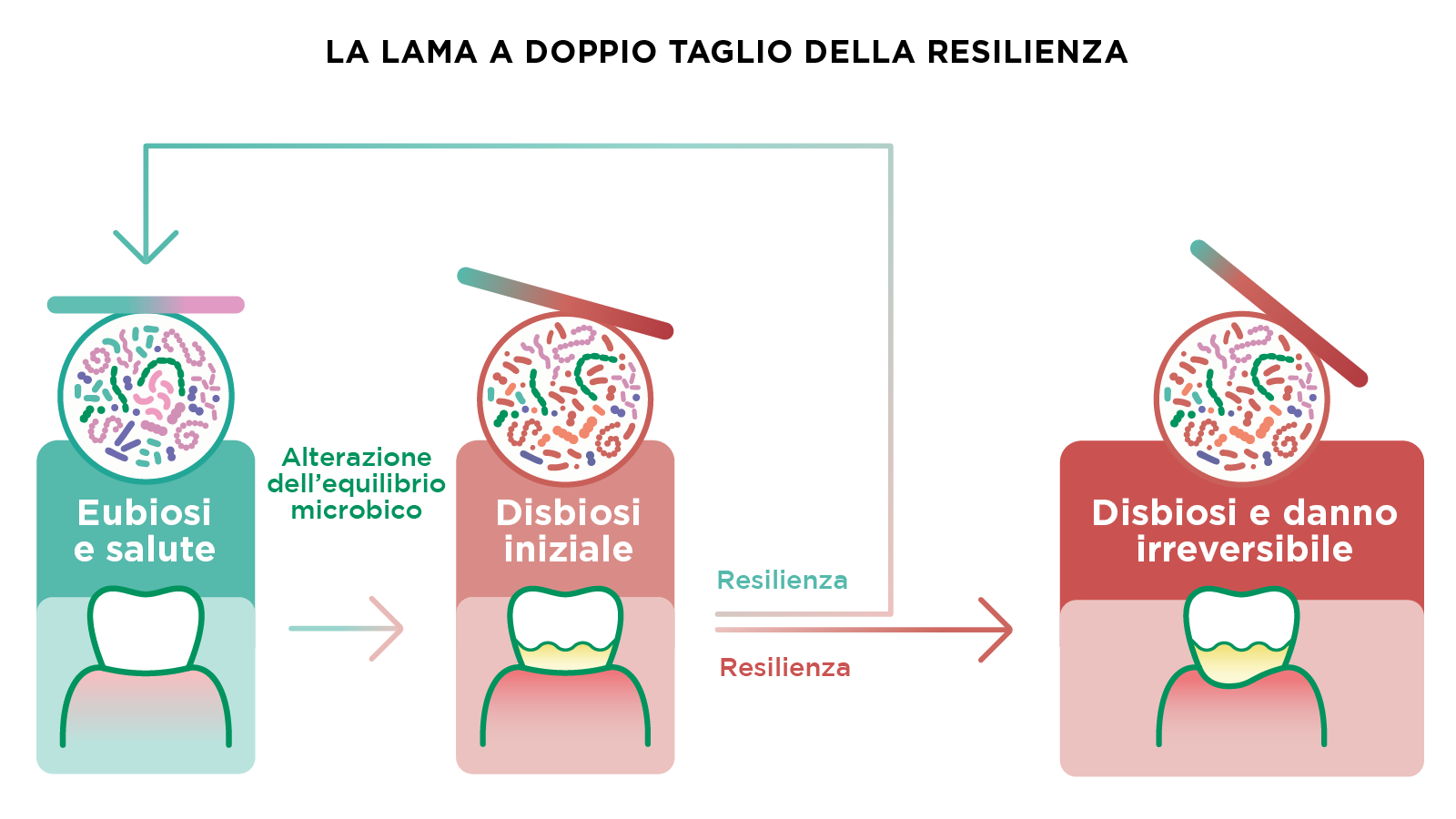 La lama a doppio taglio della resilienza del microbioma che illustra la progressione dall'eubiosi e la salute fino alla disbiosi orale