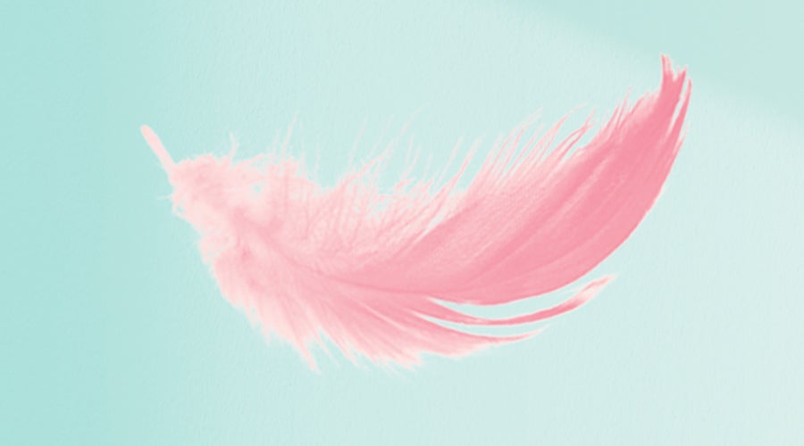 Illu-Sonic-Sensitive-Refill-pink-feather