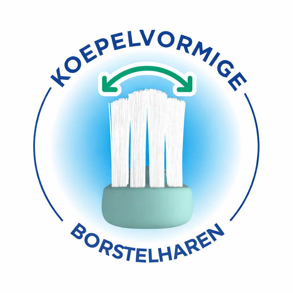 Info-New-GUM-Classic-toothbrush-Brush-Head-Dome-Trim-NL.png