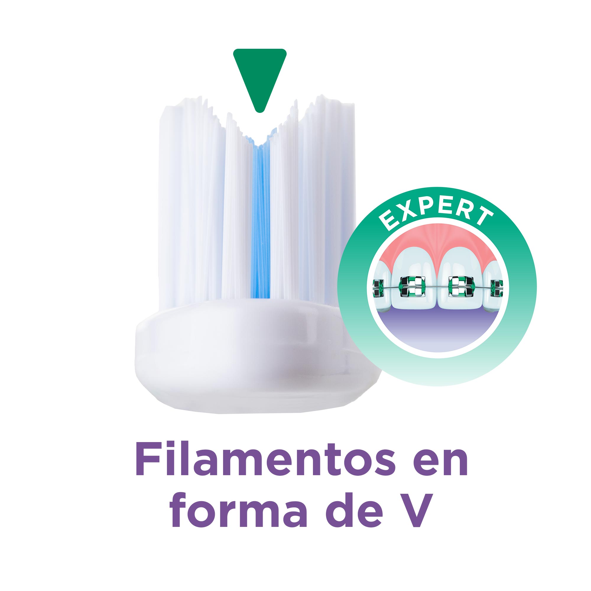 GUM-ORTHO-TB-V-Shaped-bristles-PDP-02-ES.jpg