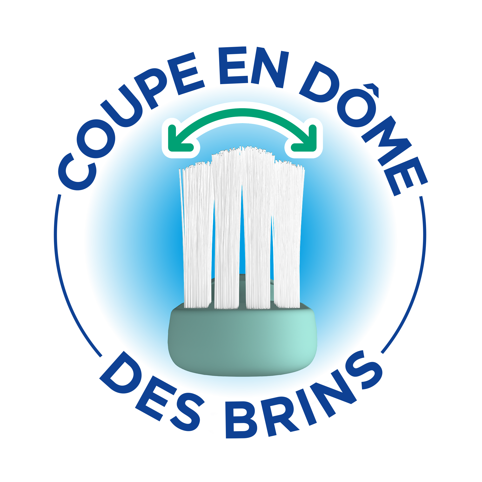 Info-New-GUM-Classic-toothbrush-Brush-Head-Dome-Trim-FR.png