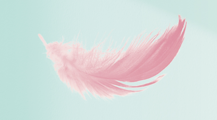 Illu-Sonic-Sensitive-Refill-pink-feather