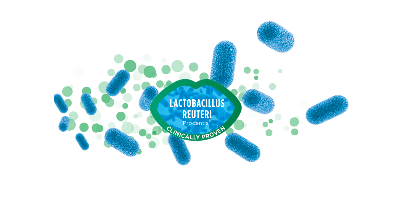Lactobacillus reuteri Prodentis, probiotico orale per il mantenimento di gengive sane