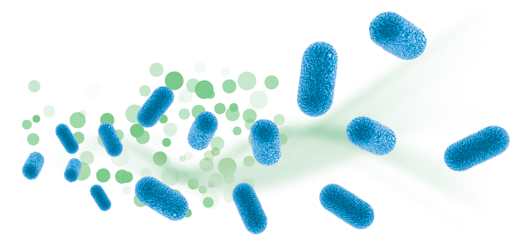 Lactobacillus Reuteri Prodentis - bakterie probiotyczne dla zdrowia dziąseł